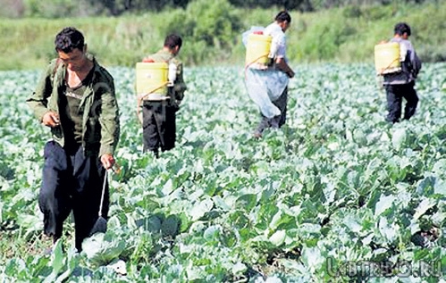 Челябинец оштрафован за нелегальное использование труда китайцев